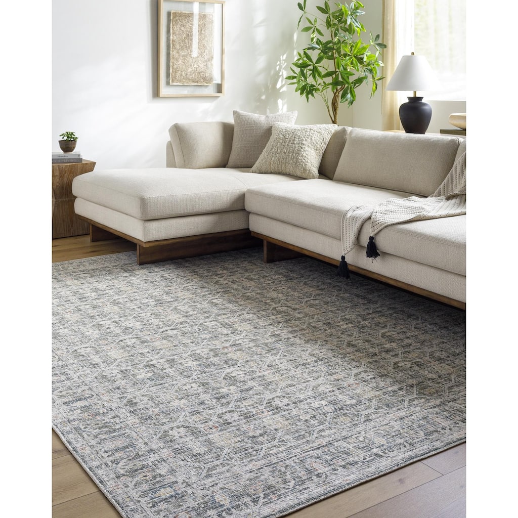 Maryjane Traditional Border Fringed Area Rug