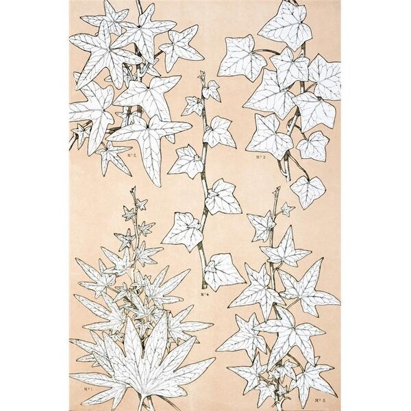Leaves Flowers From Nature No 3 Plate Xciii From The Grammar Of