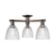 Option Oil Rubbed Bronze / Clear