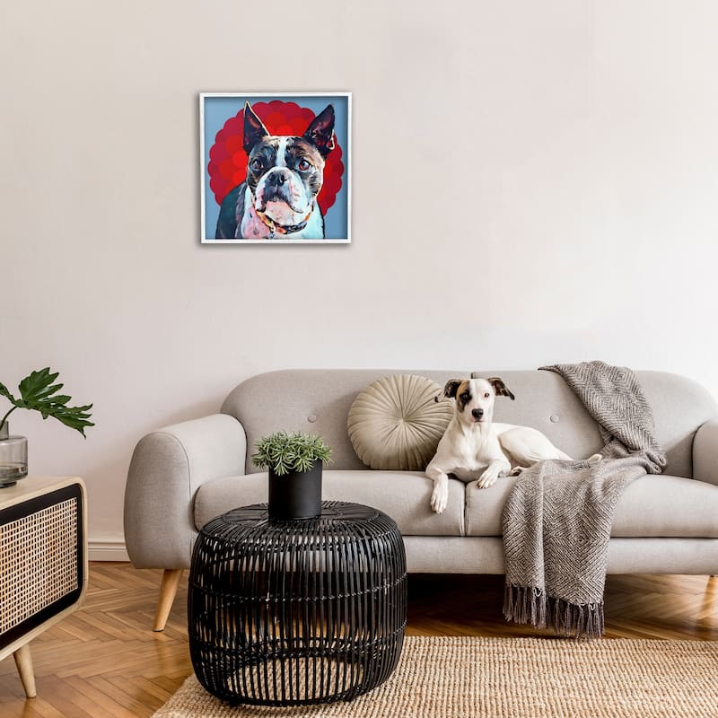 Stupell Boston Terrier Dog Portrait over Geometric Curved Pattern Framed Wall Art,12x12