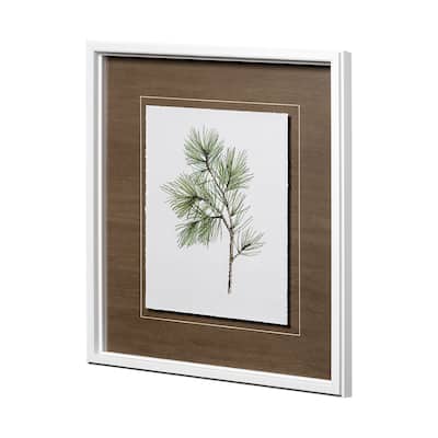 Douglas I Framed Art Print