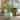 SAFAVIEH Outdoor Living Mora Planter Pot - 20"W x 20"D x 18"H