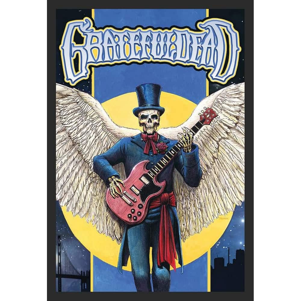 Grateful Dead Skull & Wings Framed Poster - 24 x 36 Inch