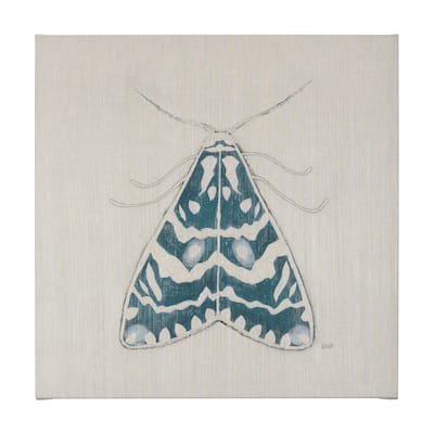 Moth Blue III (30 x 30 ) Canvas Art Print