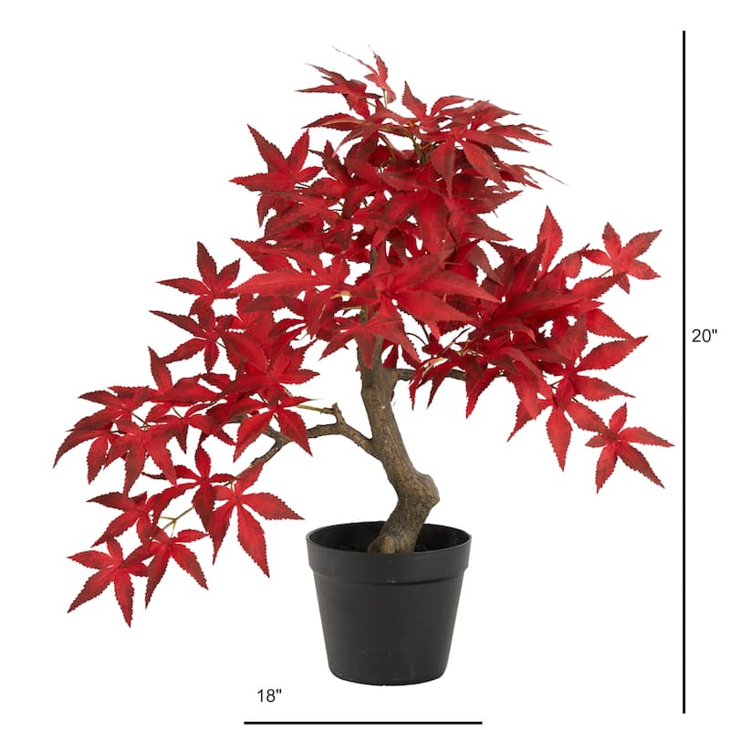 20" Autumn Maple Bonsai