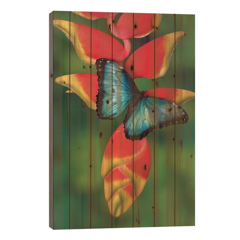 Blue Morpho Butterfly sitting on tropical Heliconia flowers Print On Wood by Darrell Gulin - Multi-Color - 40x26x1.5