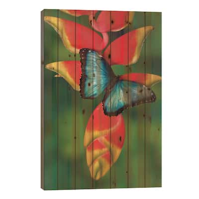 Blue Morpho Butterfly sitting on tropical Heliconia flowers Print On Wood by Darrell Gulin - Multi-Color