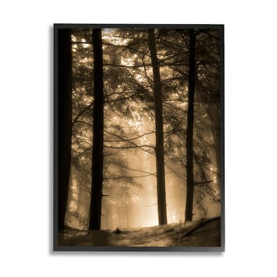 Stupell Light Through Forest Tree Top Foggy Woodland Photography Framed Wall Art - Yellow