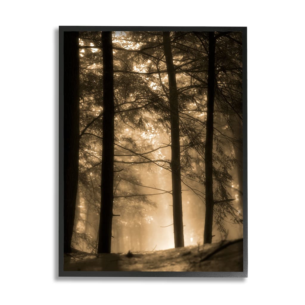 Stupell Light Through Forest Tree Top Foggy Woodland Photography Framed Wall Art - Yellow