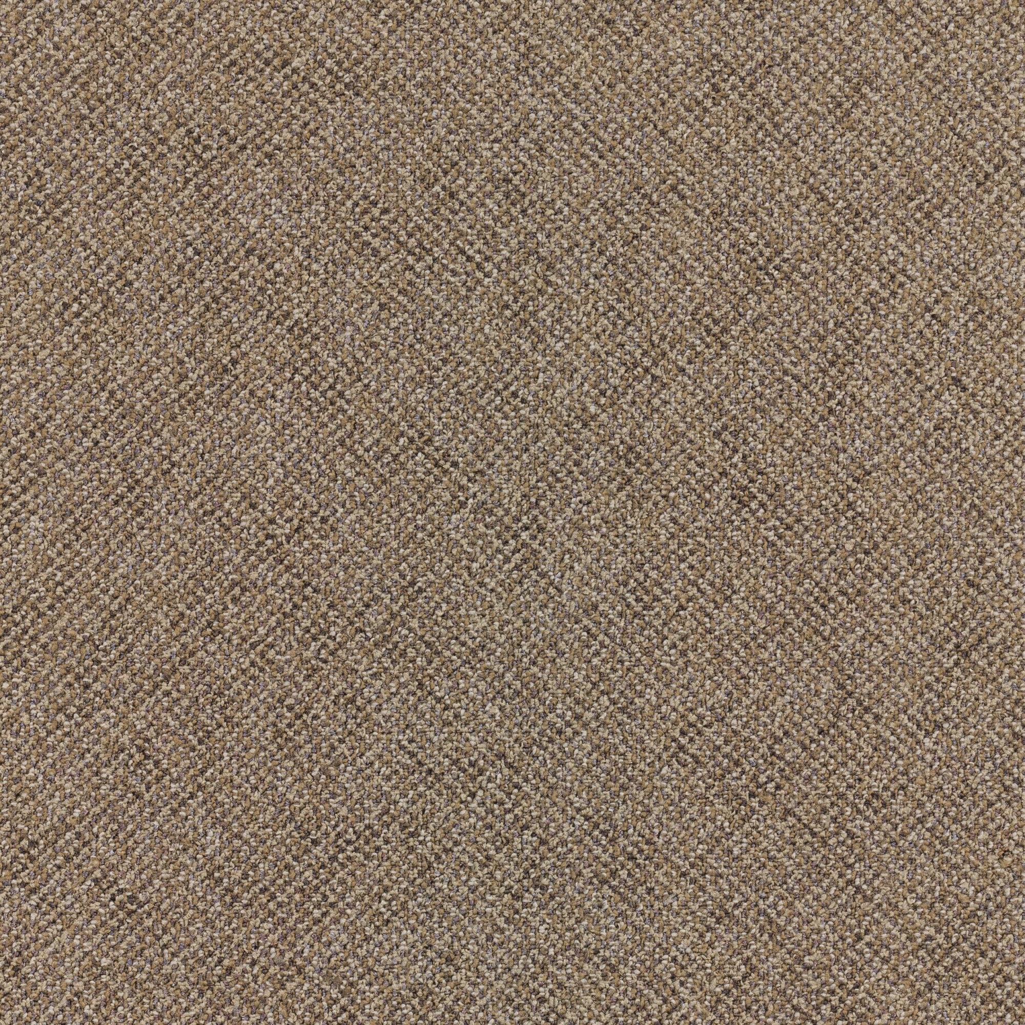 Mohawk Industries Laconia - 24" x 24" Square Carpet Tile - Tufted