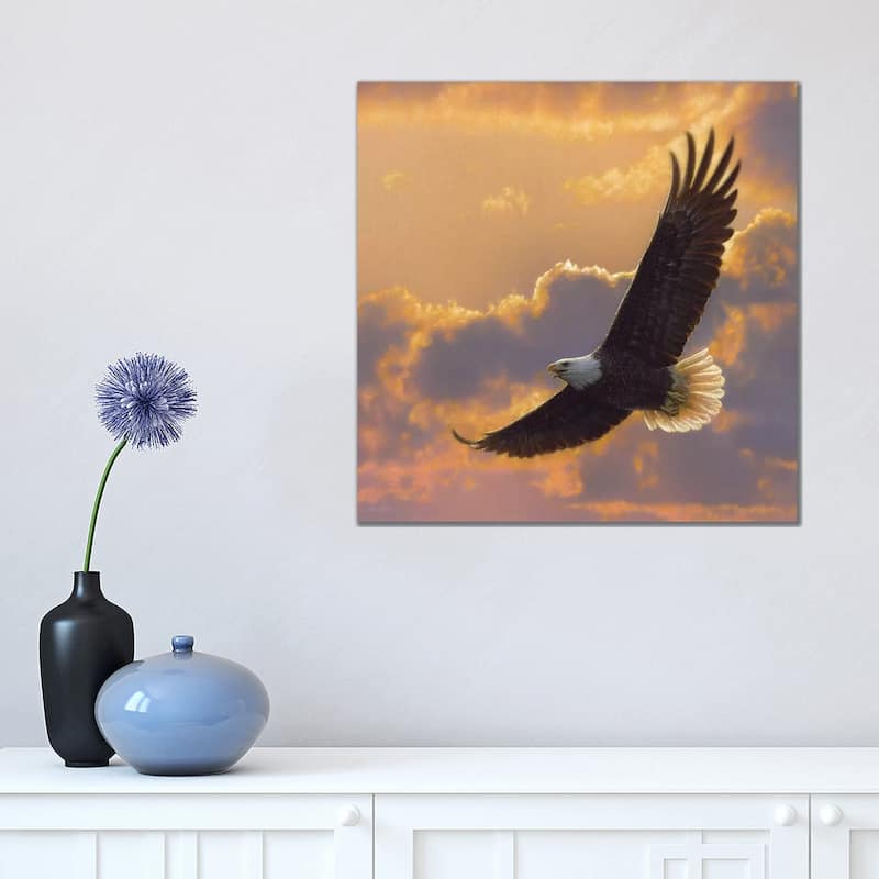iCanvas "Soaring Spirit - Bald Eagle, Square" by Collin Bogle Canvas Print - 18x18x1.5