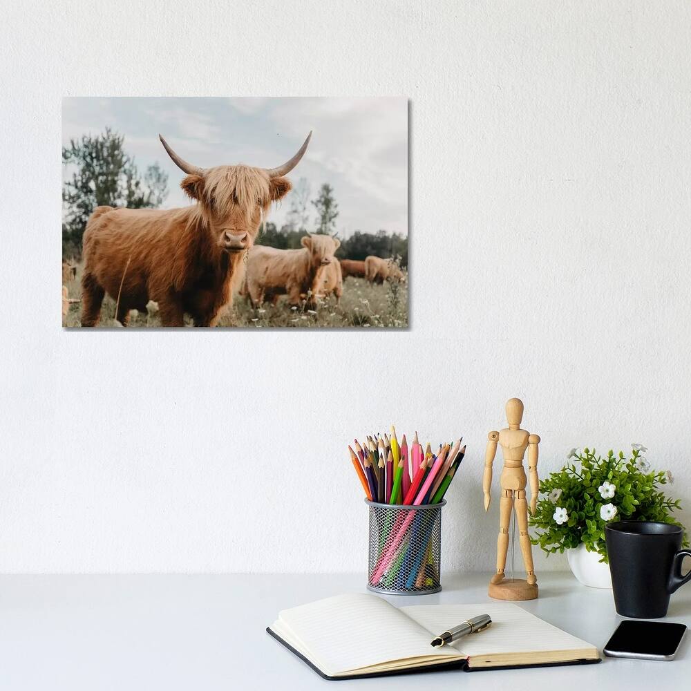 iCanvas "Highland Cow" by Chelsea Victoria Canvas Print