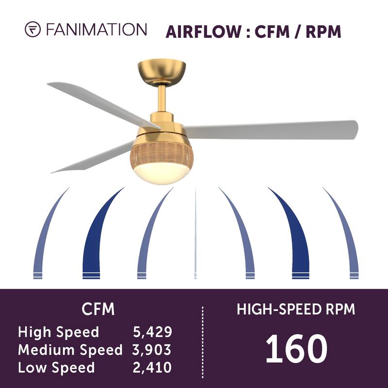 Paget 52 inch Indoor/Outdoor Smart Ceiling Fan with LED Light Kit and Remote