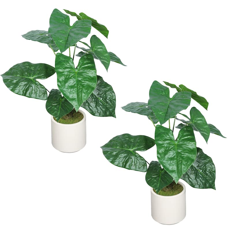 30" Artificial Tropical Alocasia Leaf Plant With White Pot 2pc/set
