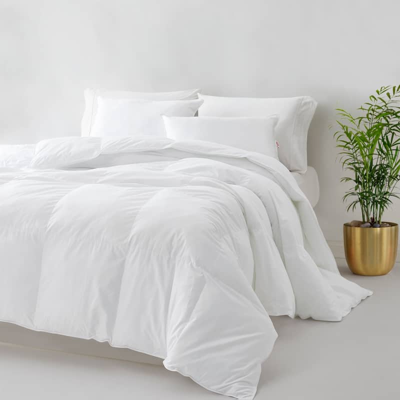 All Season PrimaLoft® ThermoPlume Down Alternative Oversized Comforter with Duvet Tabs by Dream Naturally - Queen