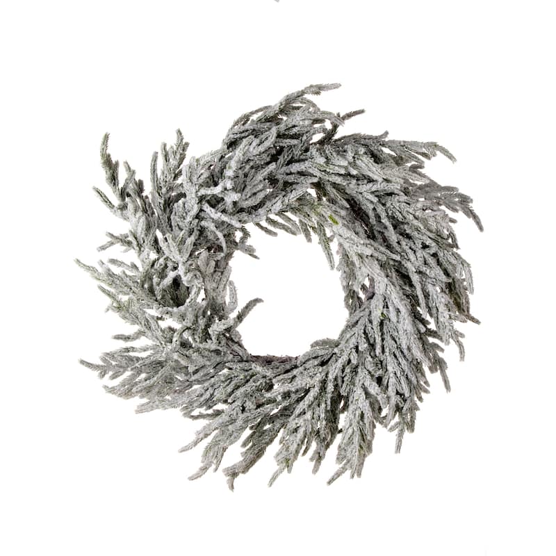 24" Real Touch Flocked Norfolk Pine Wreath - Frosted Green - 24-Inch