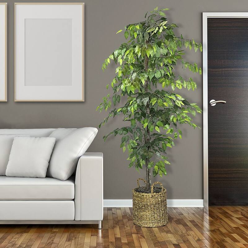 6-foot Artificial Ficus Tree in Basket