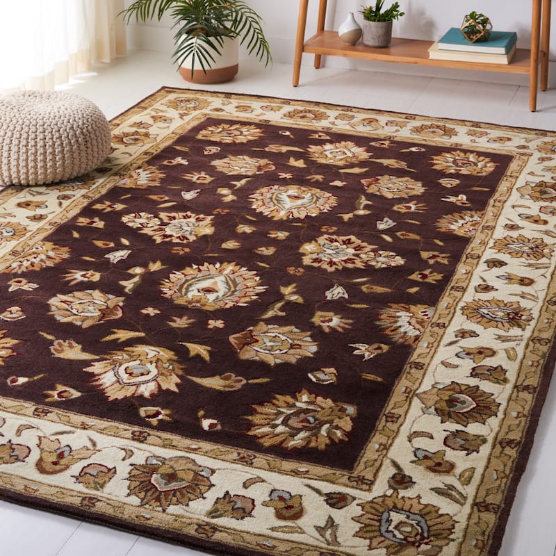 SAFAVIEH Handmade Total Performance Felisha Oriental Rug - 4' x 6' - Brown/Ivory