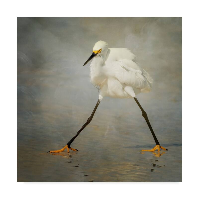 Alfred Forns 'The Rock Star' Canvas Art