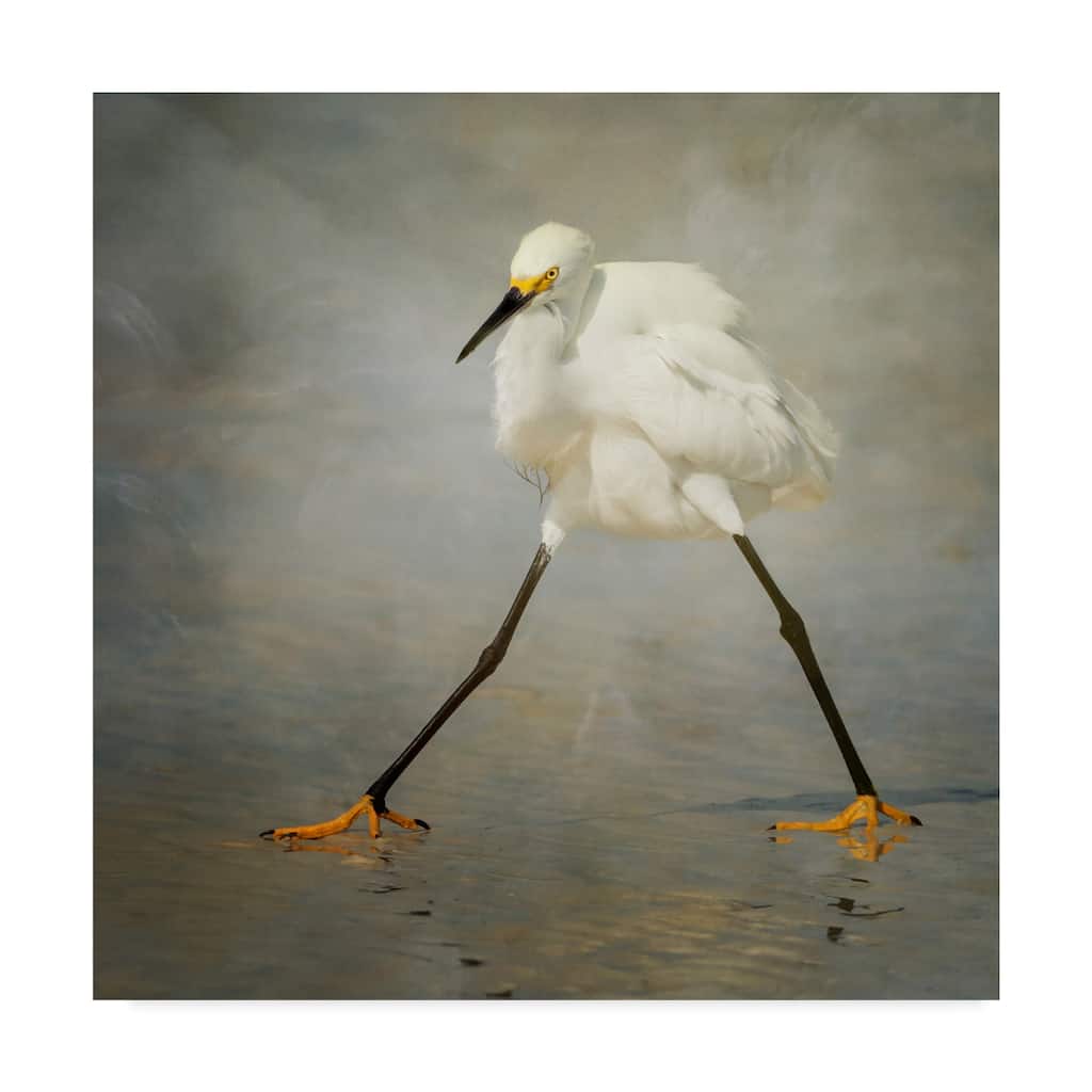 Alfred Forns 'The Rock Star' Canvas Art