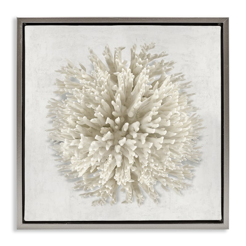 Stupell Natural Round Coral Framed Floater Canvas Wall Art Design By Caroline Kelly - 25 x 25 - Grey