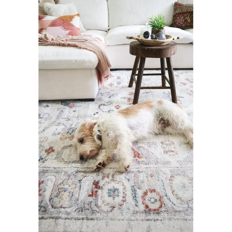 Jinnie Cream and Purple Multi-Color Distressed Rug