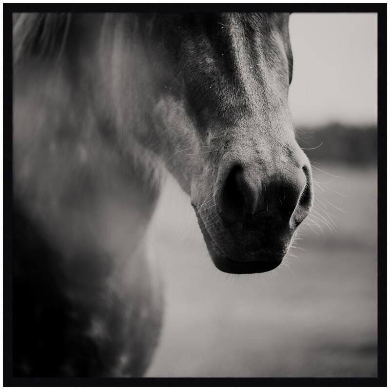 Kate and Laurel Horse Like Velvet by Laura Evans Framed Wall Art Print - 33 x 33 - Black