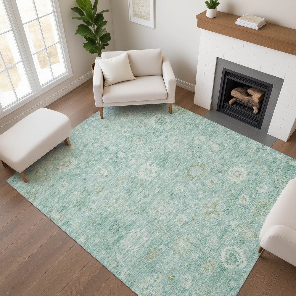 Premium Washable Super Soft Vintage Traditional Mayfield Rug