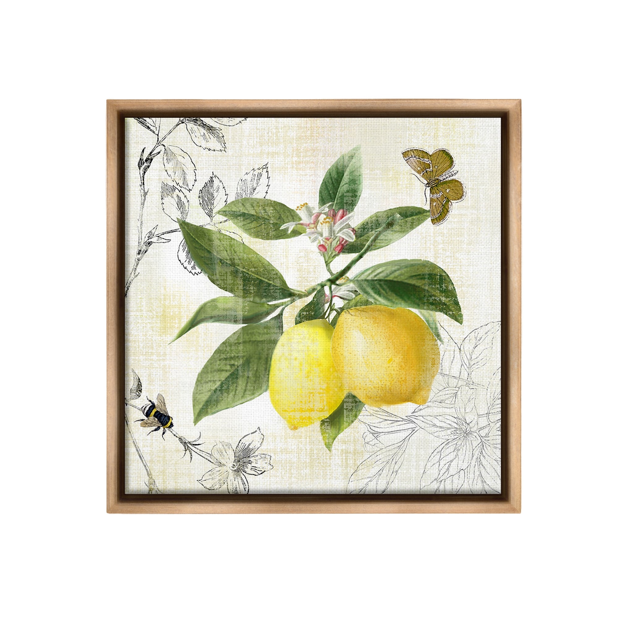 nowlemonページ Stupell Vintage Lemon Pattern Framed Floater Canvas Wall Art