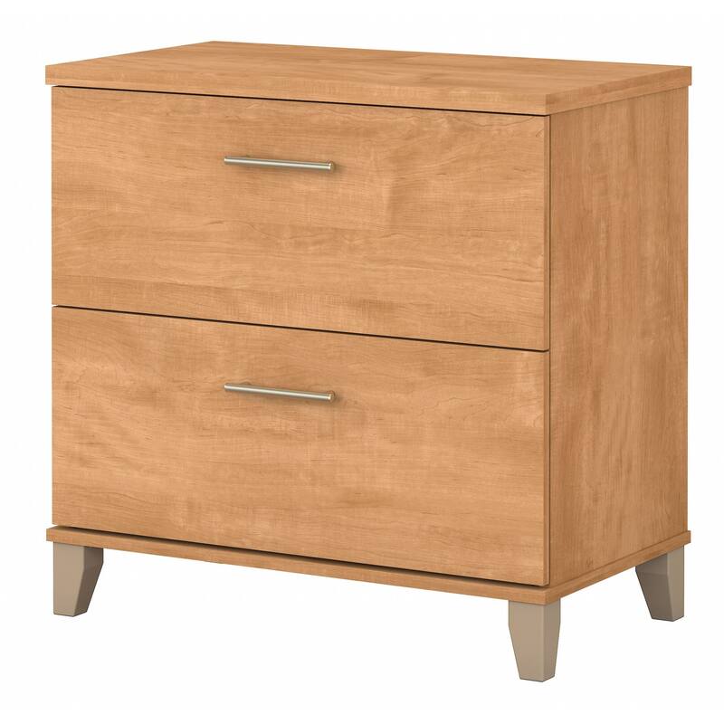 Bush Furniture Somerset 2 Drawer Lateral File Cabinet with Storage