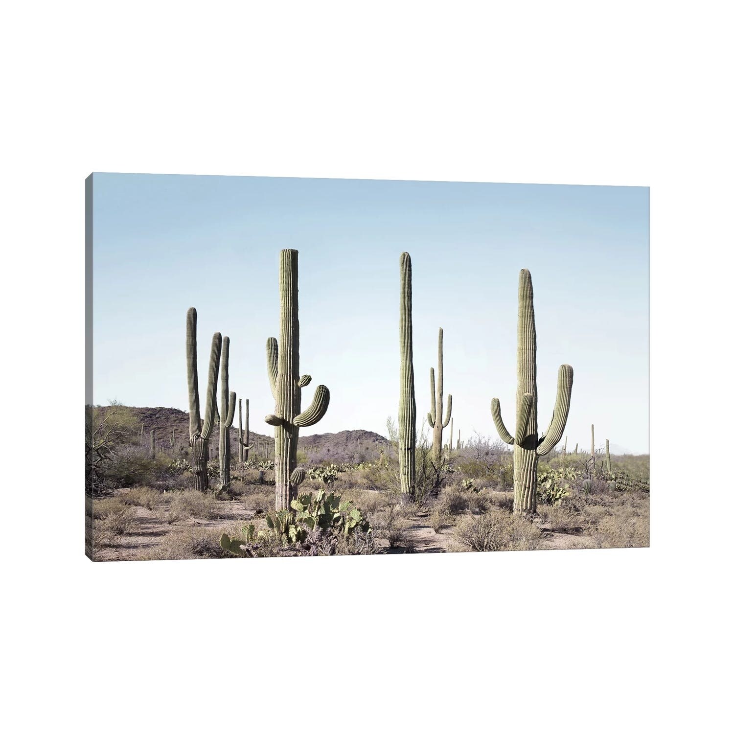 iCanvas "Cactus Land" by Sisi & Seb Canvas Print - Bed Bath & Beyond -  34542923