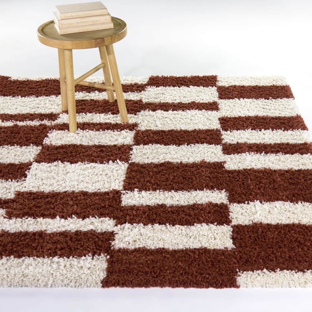 Grissom Checkered Shag Area Rug