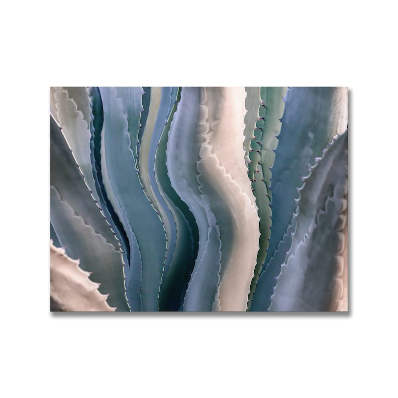"Sonoma Summertime Roadside Abstract" Framed Print Wall Art by Robin Wechsler