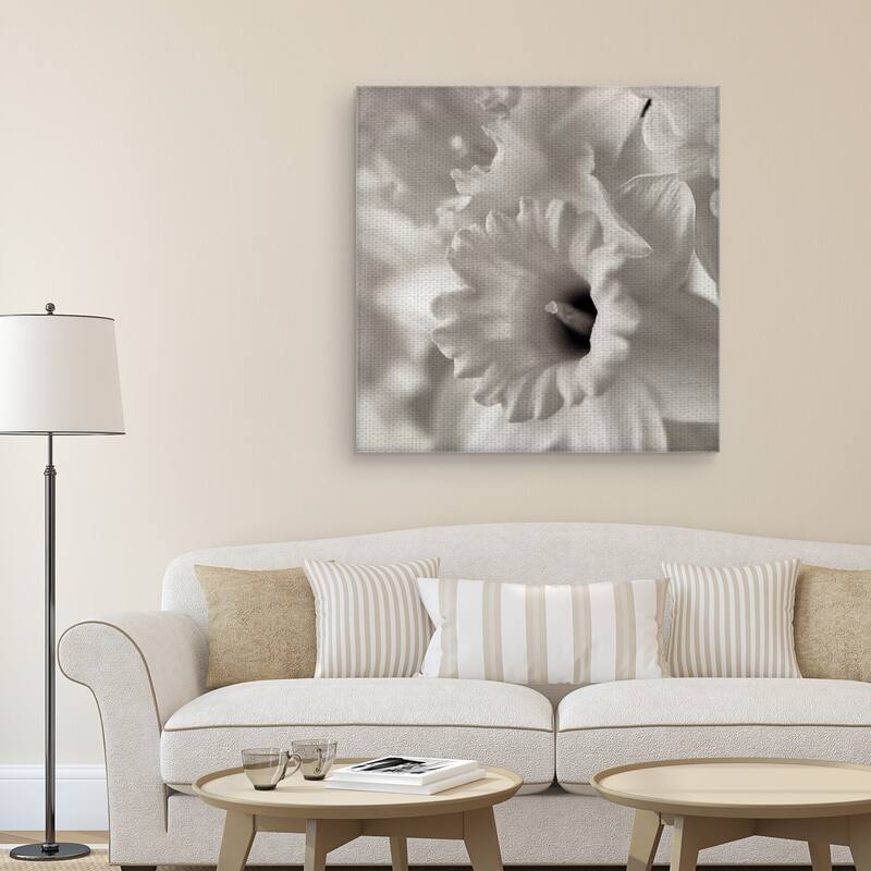 Florison #45 by Alan Blaustein Canvas Art Print