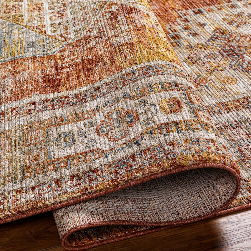 Abigail Traditional Medallion Area Rug
