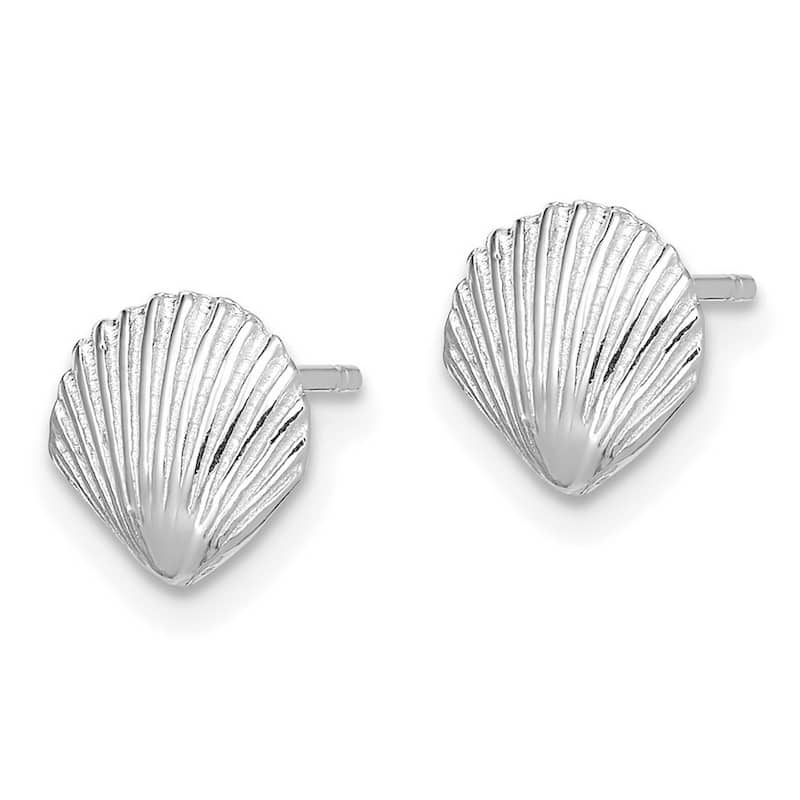 Curata 14k White Gold 7.8x7.9mm Scallop Shell Post Earrings