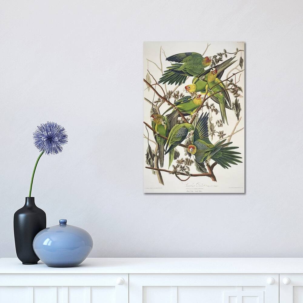 iCanvas "Carolina Parrot & Cuckle Burr" by John James Audubon Canvas Print