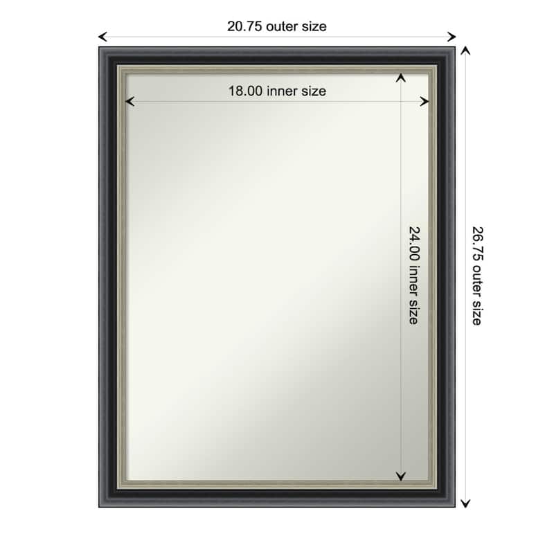 Theo Black Silver Non-Beveled Wood Framed Wall Mirror - Theo Black Silver - Glass Size 18x24