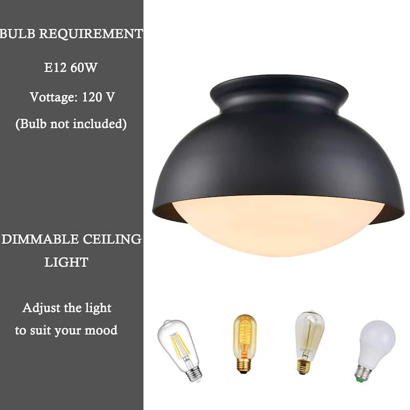 Symi Semi Flush Mount Ceiling Light w/ Frosted Glass Shade 1-Light