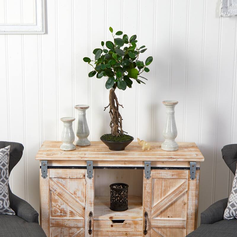 2' Ficus Bonsai Artificial Tree in Decorative Planter