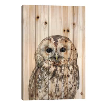 Owl Print On Wood by Lexie Greer - Multi-Color