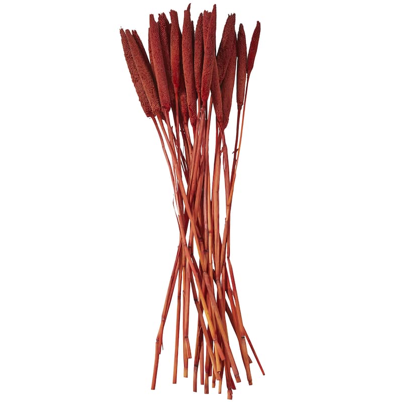 Dried Plant Bunny Tail Home Decor Natural Foliage - White, Red, Dark Brown, Orange, Green, Pink, Yellow - Roche River Decor