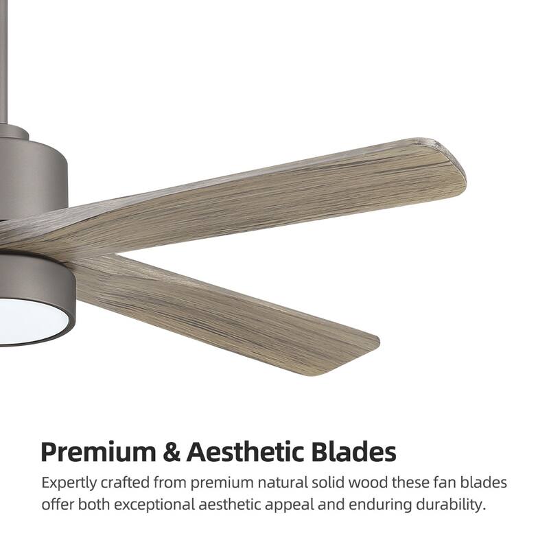 WINGBO 54" and 64" 5 ABS Blades DC Motor Indoor Ceiling Fan with Light & Remote