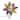 Kurt Adler 10-Light LED Multicolored Capiz Clear Star Tree Topper