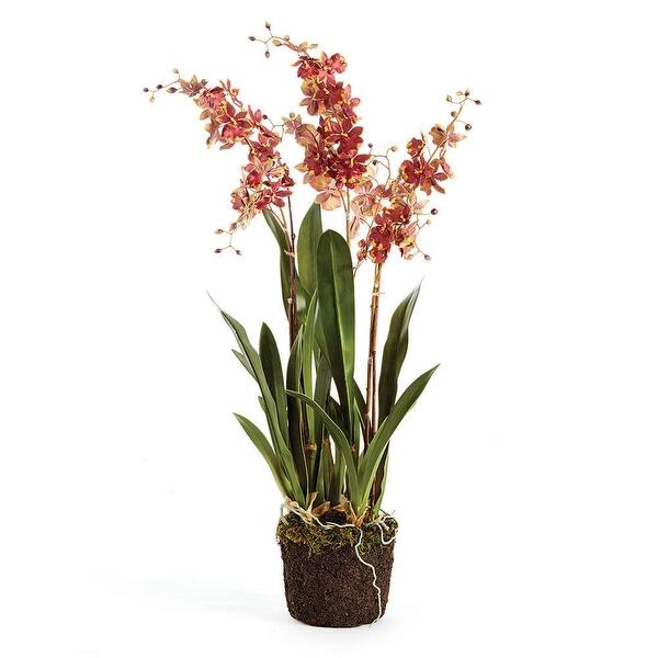 Shop Napa Home And Garden Cc210 Dancing Orchid 32 Inch Tall Drop In Multi Colored Overstock 22920945