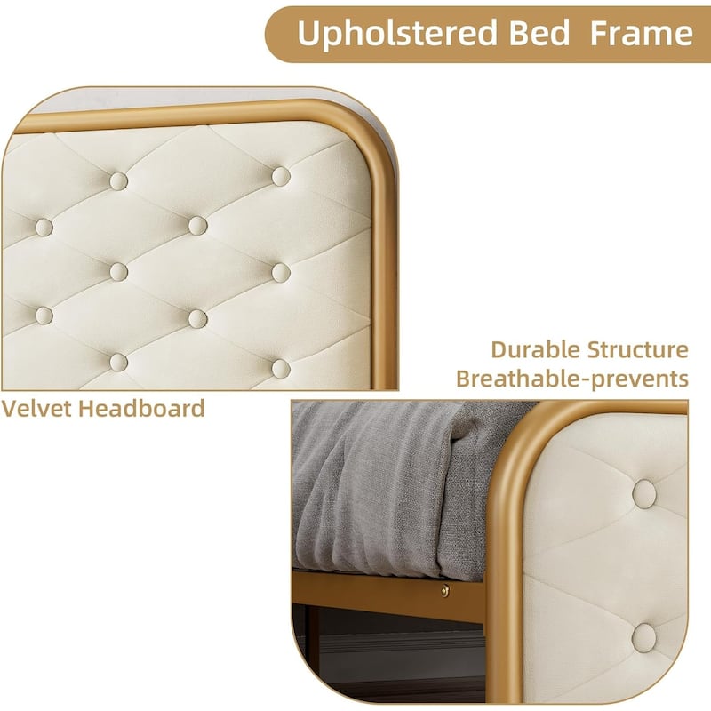 Velvet King Bed Frame with Golden Base, Curved Button Tufted Headboard, Sturdy Wood Slats, Noise-Free Platform