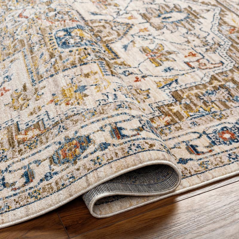 Niengold Traditional Medallion Area Rug