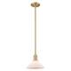 Option Brushed Brass / Matte White