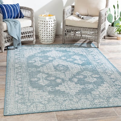 Susannah Indoor / Outdoor Updated Traditional Area Rug