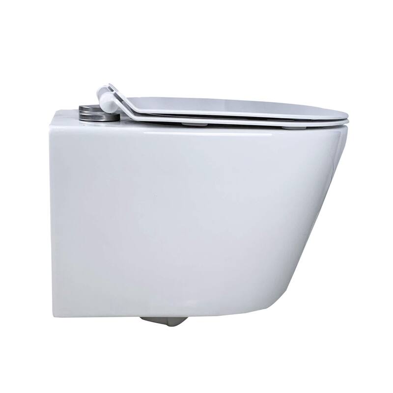 In-Wall toilet Combo Set - Toilet, Tank (2 x 4 Wall), Carrier System